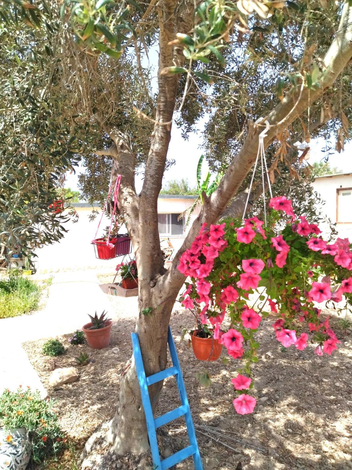 Cala Creta Apartment LMP Стая снимка
